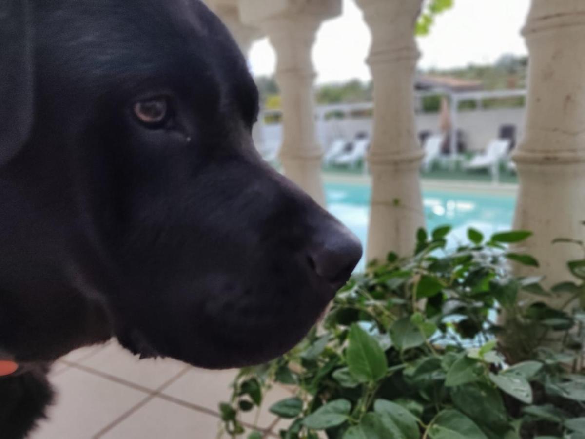 Agriturismo Al Passaggio Di Pirro Villa Miglionico Kültér fotó
